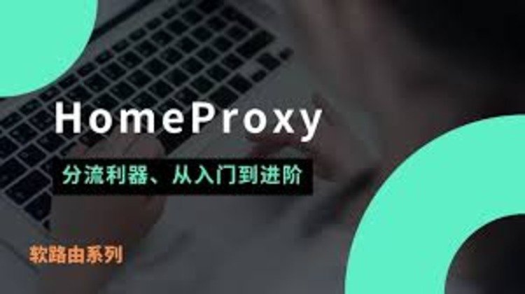 监视面板homeproxy